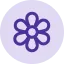 Flor