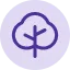 Arbol